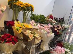 -淘花源花艺鲜花店 开业花篮 绿植(南部商务区店)