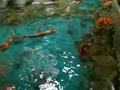 -多彩贵州城极地海洋世界