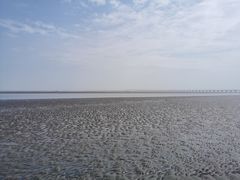 -南汇新城海滩
