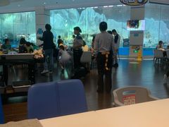 -帝企鹅自助餐厅•儿童岛•真企鹅(长隆企鹅酒店)