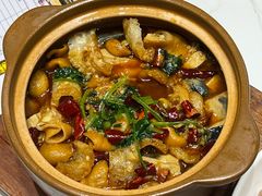 臭豆腐皮肚肥肠-雅酌园百姓菜馆(颐和路店)