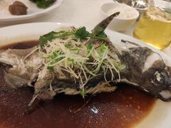 -龙悦湾酒家·八阵鱼生·渔人码头店