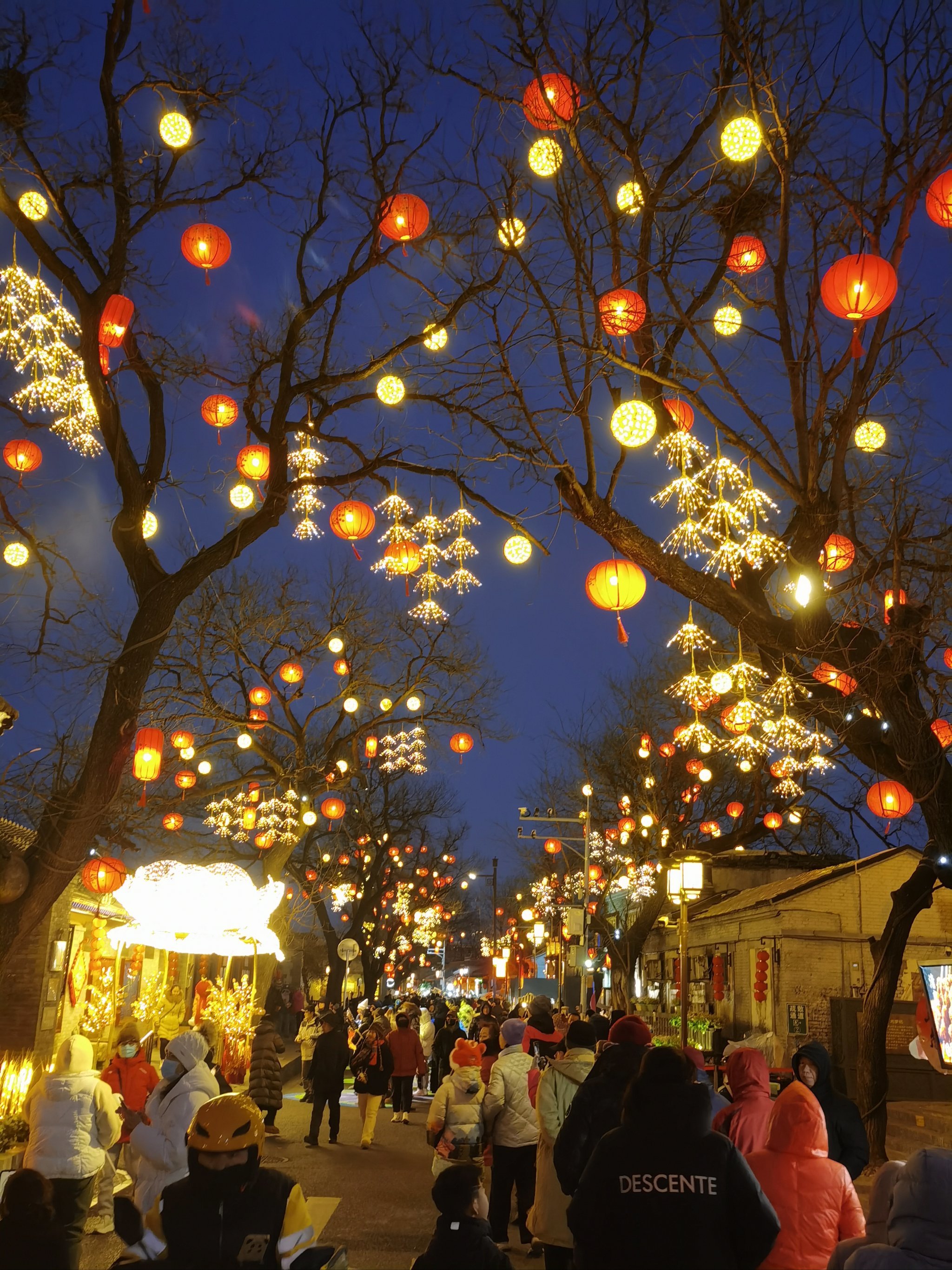 元旦旅游好去处_元旦旅游最佳去处