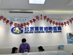 -北京观赏动物医院·24小时大型综合·猫专科·异宠专科
