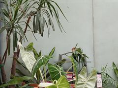 -旧天堂书店(华侨城创意文化园南山特色文化街区店)
