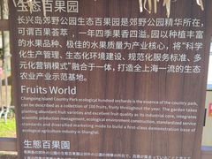 -上海长兴岛郊野公园