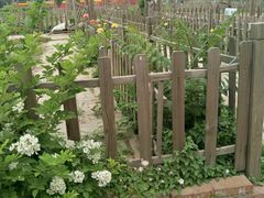 小朋友们快带上爸爸妈妈来认领吧-月河湾马术俱乐部(朝阳店)