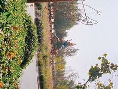 -北戴河集发农业梦想王国
