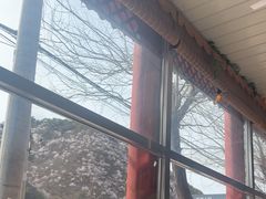 -何适山庄 ·可团建(水长城P2停车场店)