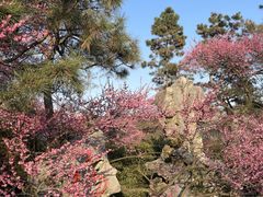 -杭州植物园