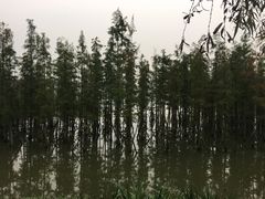 -白鹭湾湿地公园