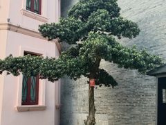 -东西巷