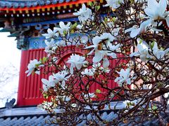 -北京艺术博物馆(万寿寺)