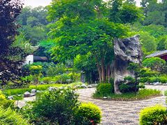 -顺峰山公园