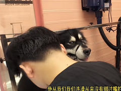 -FAELING PETS美天灵宠物(合生汇店)