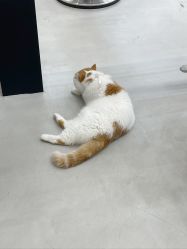 -蚂蚁造型俱乐部