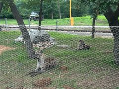 -秦皇岛野生动物园