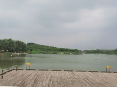 -马家湾湿地公园
