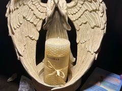 -雪灵魔法世界SHELLY’S TAROT(大良桂畔里店)