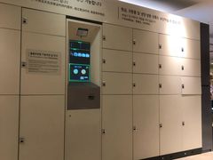-乐天免税店(明洞店)