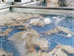 -盒马鲜生(189购物中心店)