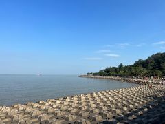 -野狸岛