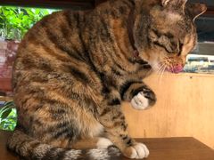 -猫的天空之城概念书店(杭州南宋御街店)