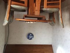 -金山农民画村-枫泾波兰倒置屋
