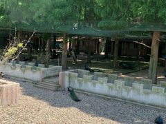 -南京金牛湖风景区