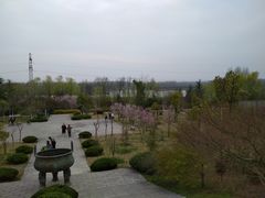 -合肥三国新城遗址公园