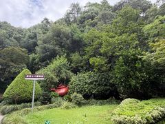 -十八棵（老龙井）御茶园(老龙井店)