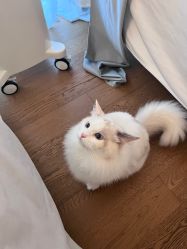-元一肌肤管理中心