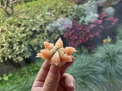 -浙江西子宾馆·牡丹厅