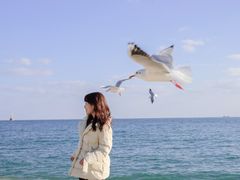 -海云台海滩