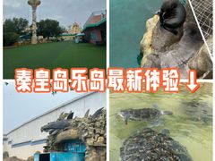 -秦皇岛乐岛海洋王国