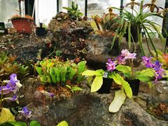 -国家植物园南园