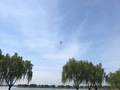 -漕湖湿地公园