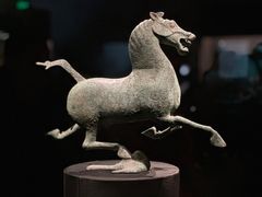 -甘肃省博物馆