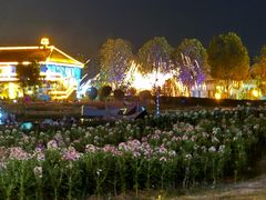 -花博汇(知音花月夜)