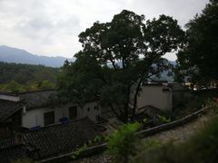 -塔川景区