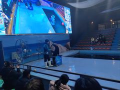-洛阳龙门海洋馆