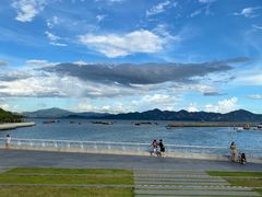 -宝安西湾红树林湿地公园