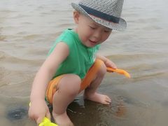 -碧海金沙