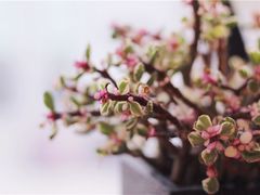 -金陵暴走小龙虾·迷踪蟹(凯德MALL店)