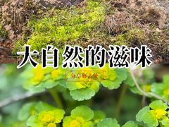 -茅兰沟国家森林公园