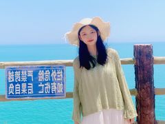 -广东惠东海龟国家级自然保护区