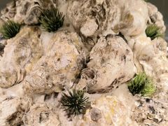 -星伦多自助料理·涮烤一体(江桥万达店)