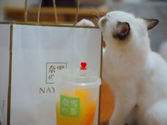 -奈雪的茶(金华永盛店)