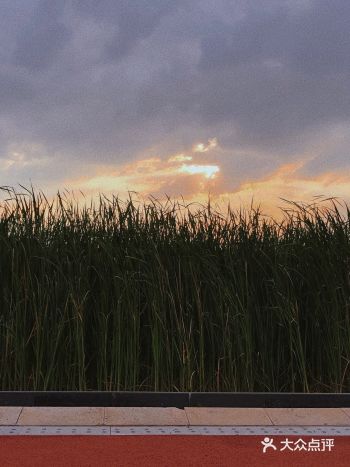 这是在门口拍的，超级出片，公园里面很大完全沉浸了就没