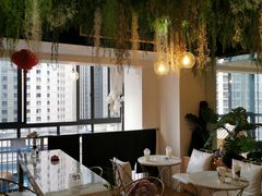 -Husky Go! 哈士奇体验馆·宠物咖啡厅狗咖